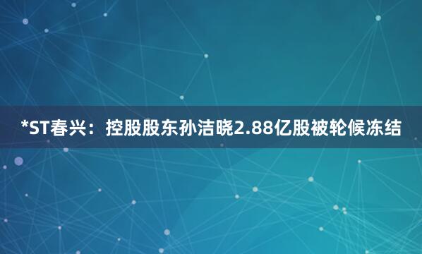 *ST春兴：控股股东孙洁晓2.88亿股被轮候冻结