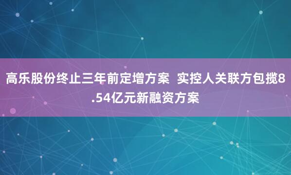 高乐股份终止三年前定增方案  实控人关联方包揽8.54亿元新融资方案