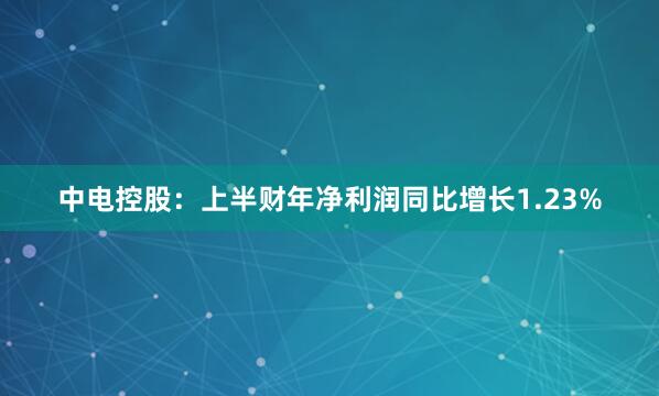中电控股：上半财年净利润同比增长1.23%