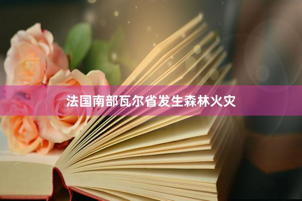 法国南部瓦尔省发生森林火灾