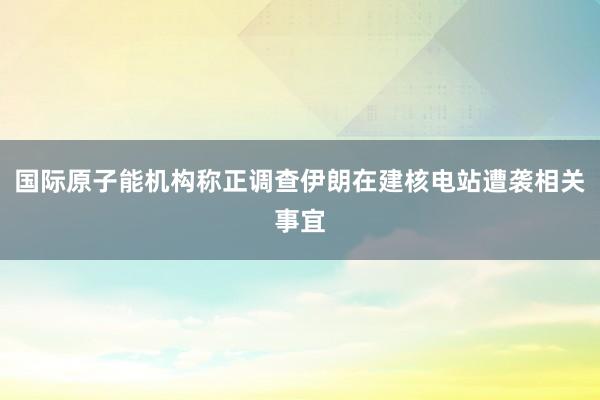 国际原子能机构称正调查伊朗在建核电站遭袭相关事宜