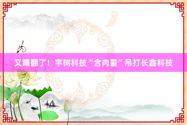 又赚翻了！宇树科技“含肉量”吊打长鑫科技