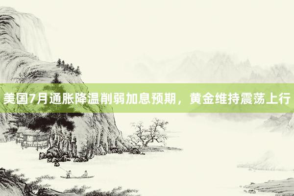 美国7月通胀降温削弱加息预期，黄金维持震荡上行
