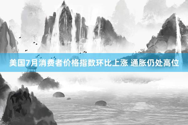 美国7月消费者价格指数环比上涨 通胀仍处高位