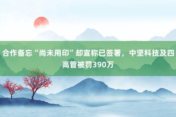 合作备忘“尚未用印”却宣称已签署，中坚科技及四高管被罚390万