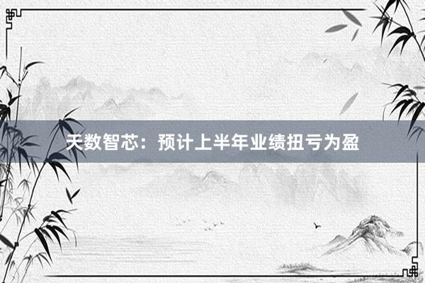 天数智芯：预计上半年业绩扭亏为盈