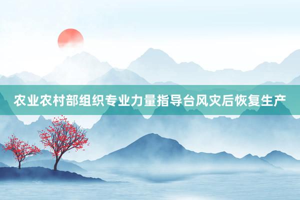农业农村部组织专业力量指导台风灾后恢复生产