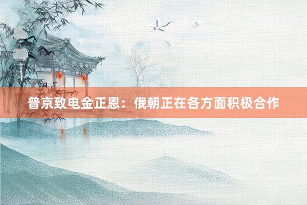 普京致电金正恩：俄朝正在各方面积极合作