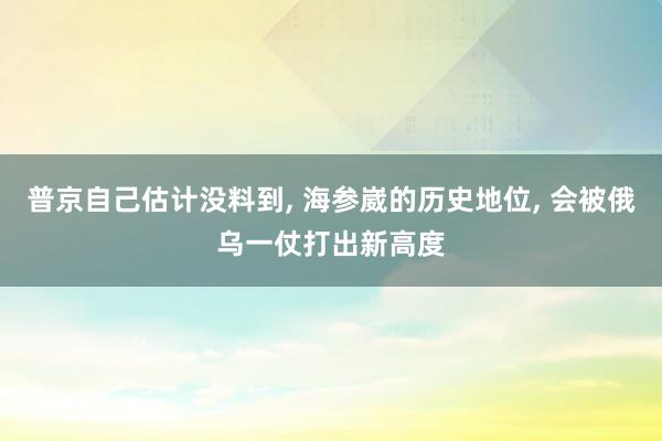 普京自己估计没料到, 海参崴的历史地位, 会被俄乌一仗打出新高度
