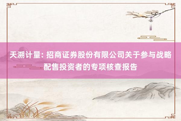 天溯计量: 招商证券股份有限公司关于参与战略配售投资者的专项核查报告