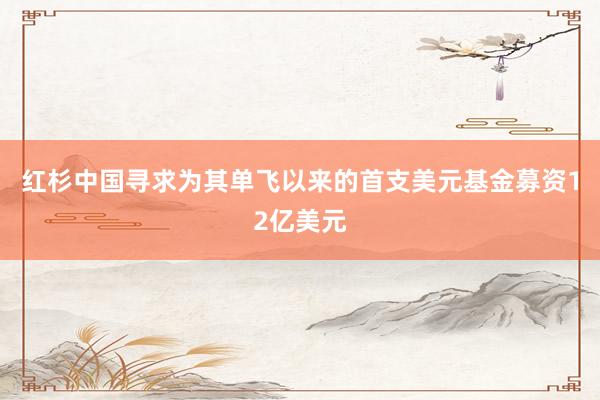 红杉中国寻求为其单飞以来的首支美元基金募资12亿美元