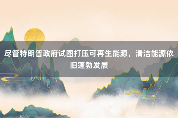 尽管特朗普政府试图打压可再生能源，清洁能源依旧蓬勃发展