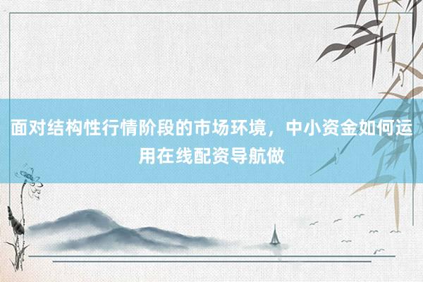 面对结构性行情阶段的市场环境，中小资金如何运用在线配资导航做