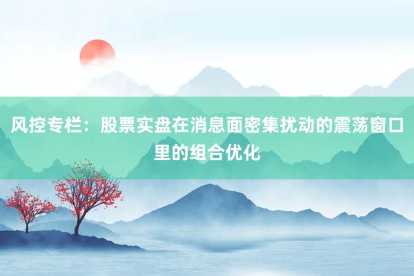 风控专栏：股票实盘在消息面密集扰动的震荡窗口里的组合优化