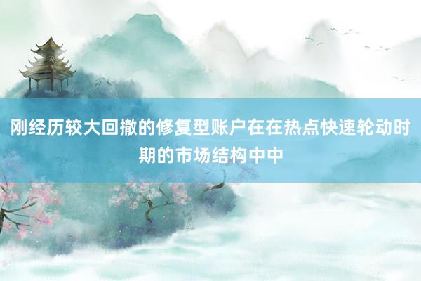 刚经历较大回撤的修复型账户在在热点快速轮动时期的市场结构中中