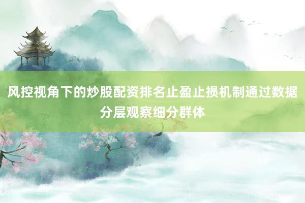 风控视角下的炒股配资排名止盈止损机制通过数据分层观察细分群体