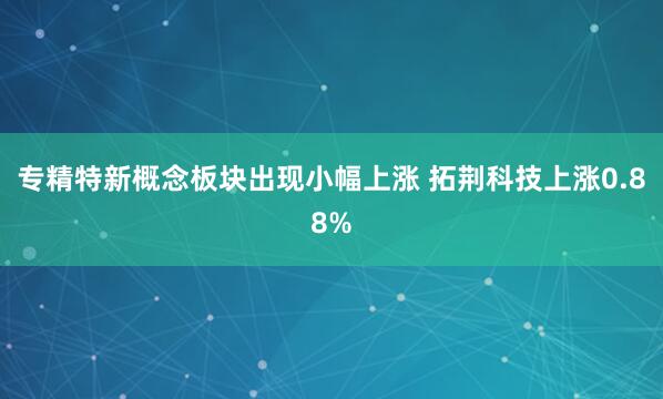 专精特新概念板块出现小幅上涨 拓荆科技上涨0.88%