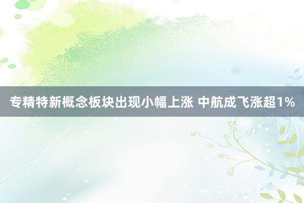 专精特新概念板块出现小幅上涨 中航成飞涨超1%