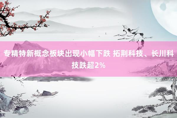 专精特新概念板块出现小幅下跌 拓荆科技、长川科技跌超2%