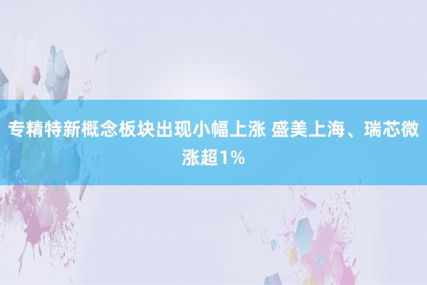 专精特新概念板块出现小幅上涨 盛美上海、瑞芯微涨超1%