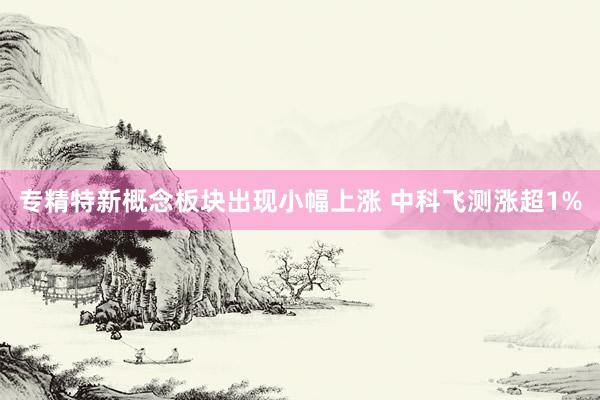专精特新概念板块出现小幅上涨 中科飞测涨超1%