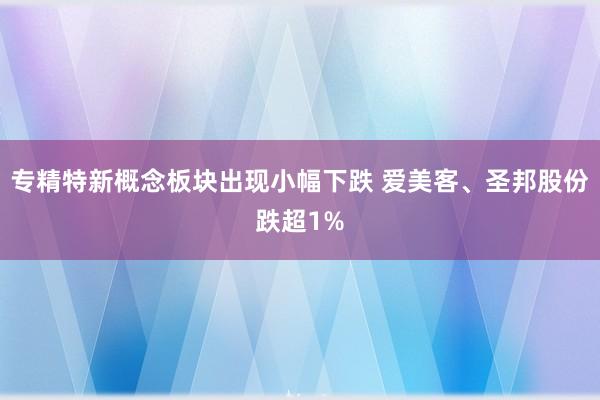 专精特新概念板块出现小幅下跌 爱美客、圣邦股份跌超1%