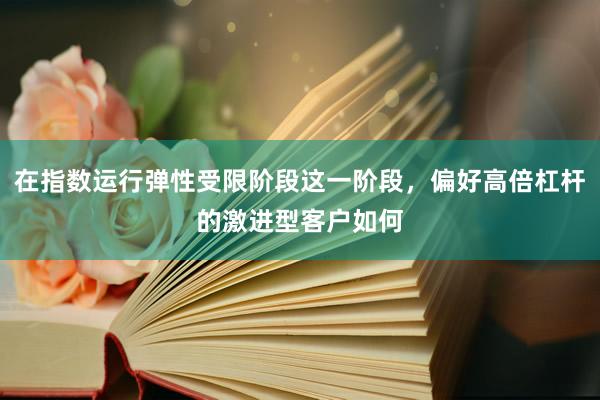 在指数运行弹性受限阶段这一阶段，偏好高倍杠杆的激进型客户如何