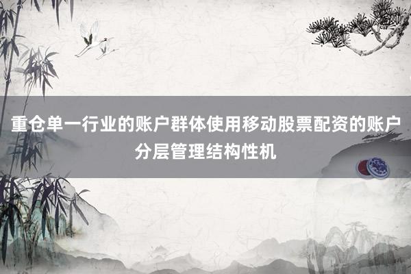 重仓单一行业的账户群体使用移动股票配资的账户分层管理结构性机