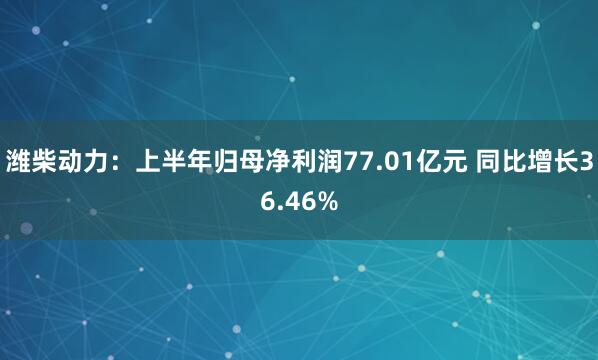 潍柴动力：上半年归母净利润77.01亿元 同比增长36.46%