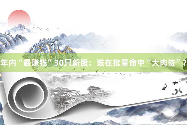 年内“最赚钱”30只新股：谁在批量命中“大肉签”？