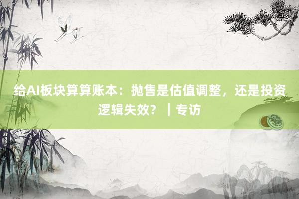 给AI板块算算账本：抛售是估值调整，还是投资逻辑失效？｜专访