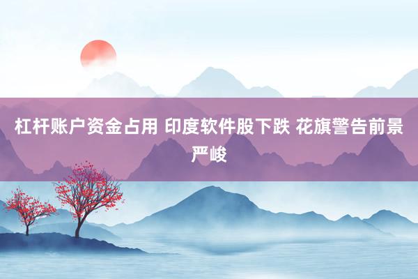 杠杆账户资金占用 印度软件股下跌 花旗警告前景严峻