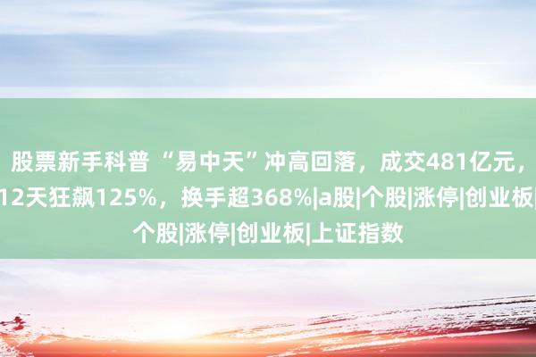 股票新手科普 “易中天”冲高回落，成交481亿元，农业牛股12天狂飙125%，换手超368%|a股|个股|涨停|创业板|上证指数