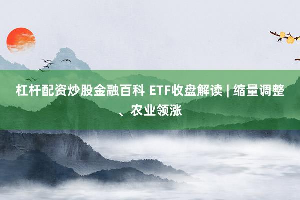 杠杆配资炒股金融百科 ETF收盘解读 | 缩量调整、农业领涨