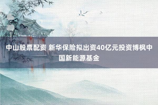 中山股票配资 新华保险拟出资40亿元投资博枫中国新能源基金