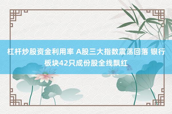 杠杆炒股资金利用率 A股三大指数震荡回落 银行板块42只成份股全线飘红