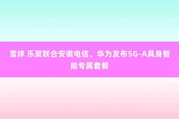 雪球 乐聚联合安徽电信、华为发布5G-A具身智能专属套餐