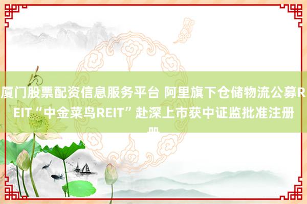 厦门股票配资信息服务平台 阿里旗下仓储物流公募REIT“中金菜鸟REIT”赴深上市获中证监批准注册