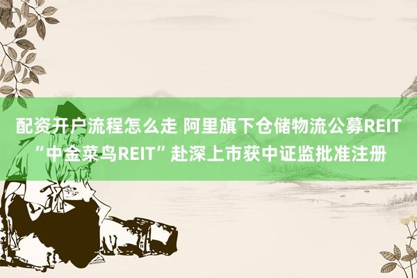 配资开户流程怎么走 阿里旗下仓储物流公募REIT“中金菜鸟REIT”赴深上市获中证监批准注册