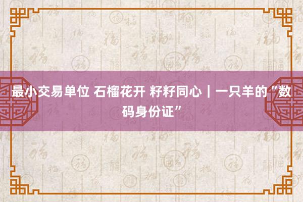 最小交易单位 石榴花开 籽籽同心｜一只羊的“数码身份证”
