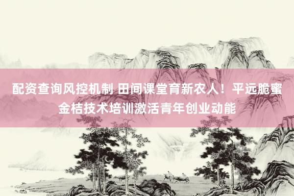 配资查询风控机制 田间课堂育新农人！平远脆蜜金桔技术培训激活青年创业动能