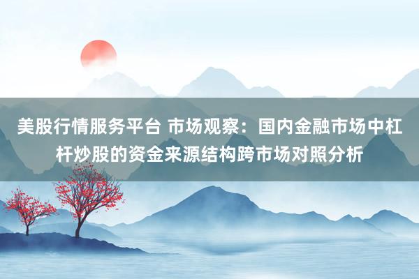美股行情服务平台 市场观察：国内金融市场中杠杆炒股的资金来源结构跨市场对照分析