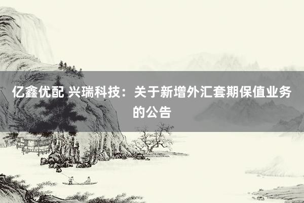 亿鑫优配 兴瑞科技：关于新增外汇套期保值业务的公告