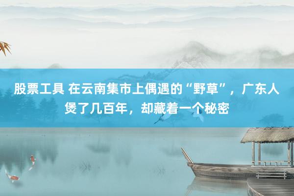 股票工具 在云南集市上偶遇的“野草”，广东人煲了几百年，却藏着一个秘密