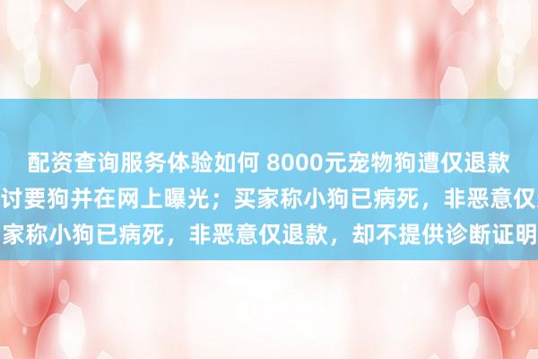 配资查询服务体验如何 8000元宠物狗遭仅退款，商家驱车600公里上门讨要狗并在网上曝光；买家称小狗已病死，非恶意仅退款，却不提供诊断证明