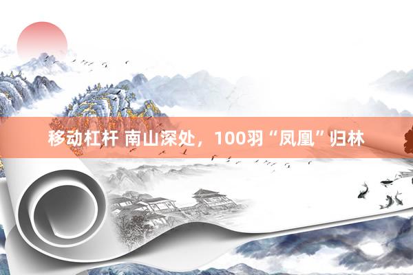 移动杠杆 南山深处，100羽“凤凰”归林